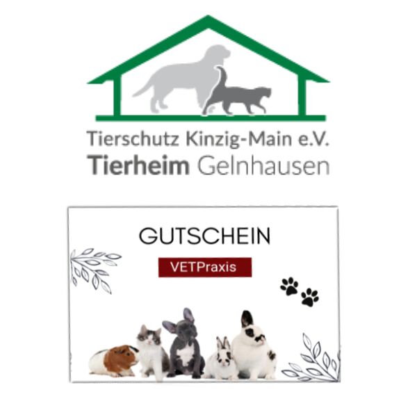Gutschein für das Tierheim Gelnhausen